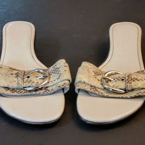 Connie Snakeskin Buckle Slide Shoes 8 Italy - Picture 2 of 4